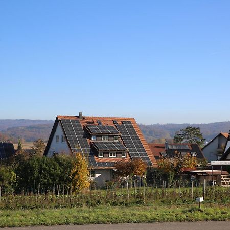 Hotel Garni Alte Post Schallbach Esterno foto